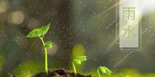 雨水 | 潤澤萬物，耀先環(huán)境愿你得綿遠深情
