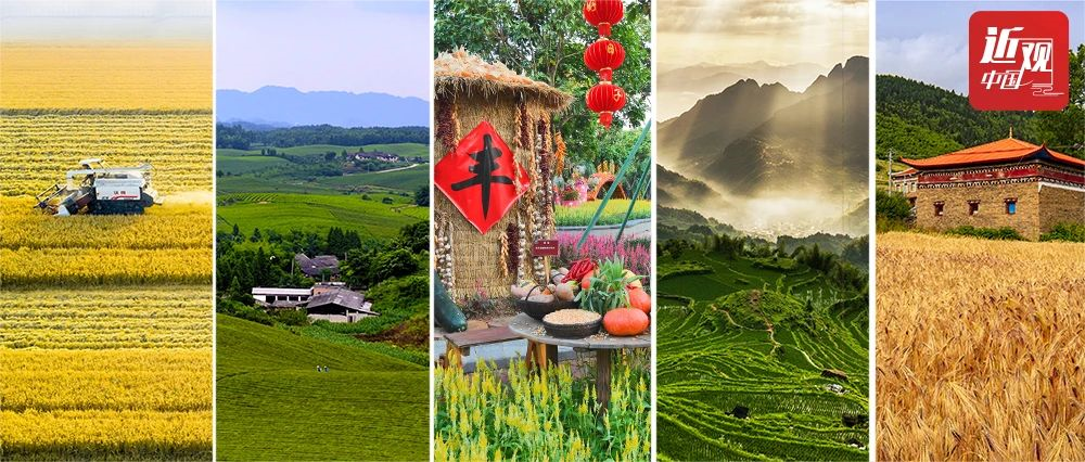 16081082448170460NAr.png image.png