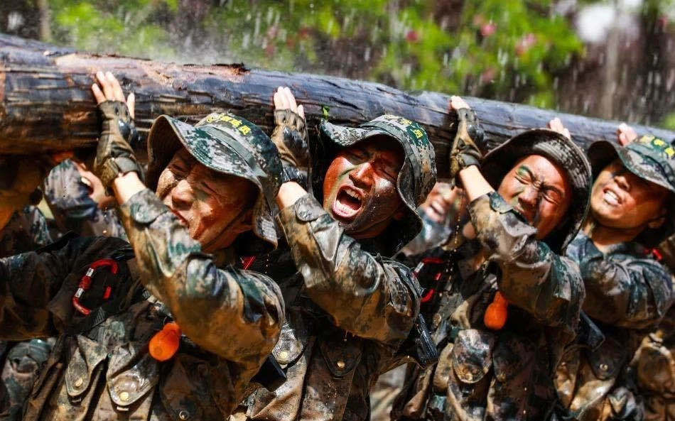 1627637318667969xPal.jpg 2db7462b683d47748c40e37eb3aa8d60.jpg